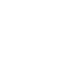 The Movement Program